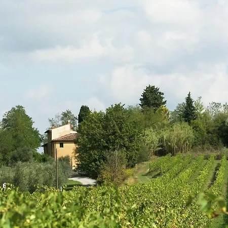 Vakantiehuis Luxurious Farmhouse In Italy With Swimming Pool Ghizzano